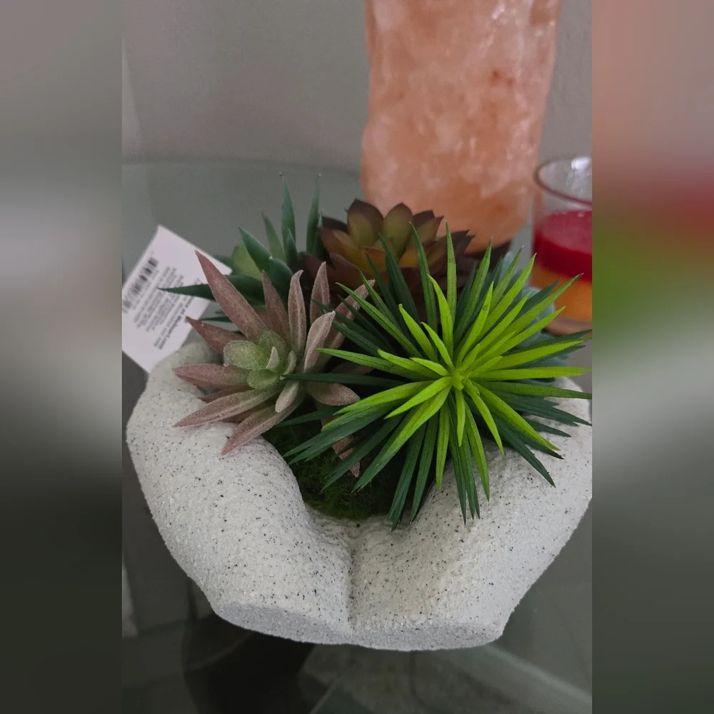 Succulents  decorations artificial - Picture 3 of 3